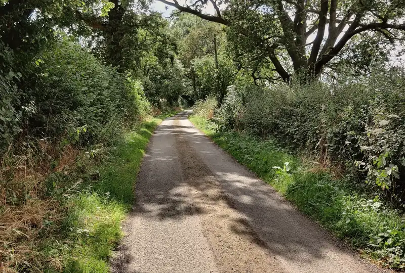 A narrow tree-lined country lane near Osbaston, Leicestershire
