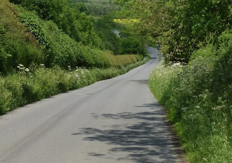 A winding country lane between green hedgerows near Thornton, Leicestershire