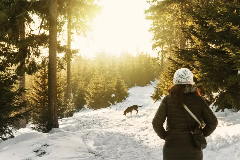 A woman walking with her dog along a woodland path in low winter sunshine, seen from behind